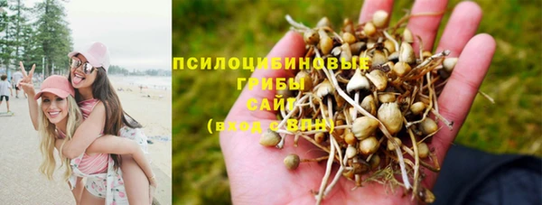 марки lsd Кинешма